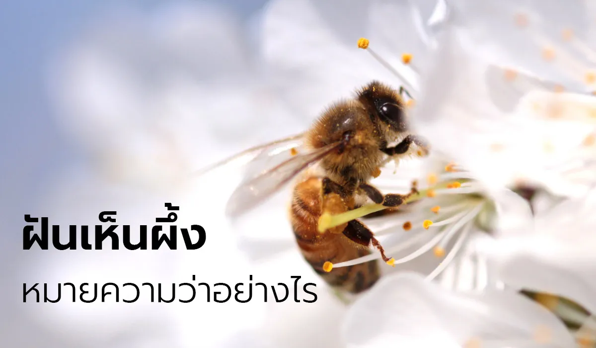 dream_1729784894843.webp