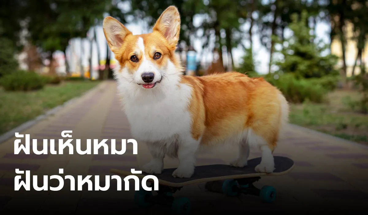 dream_1729785675855.webp