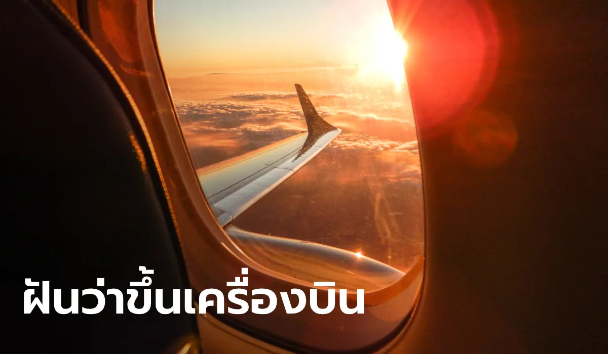 dream_1729789879455.webp