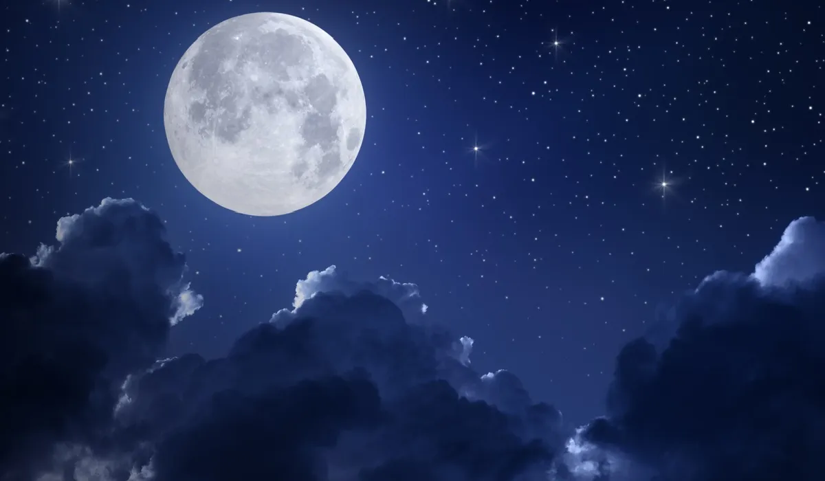 dream_1729790947986.webp