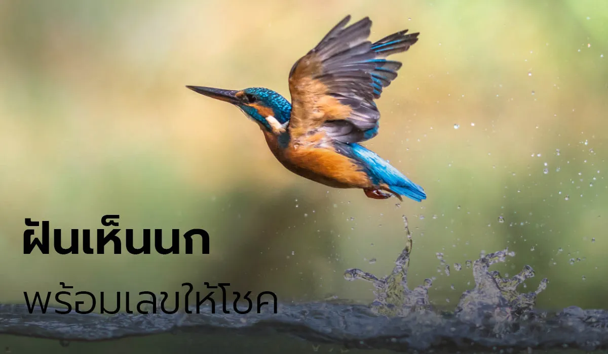 dream_1731477108351.webp